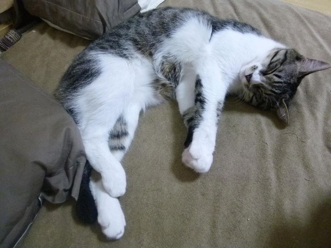 2025世俱杯赛程表比赛时间-_勇士队三分雨持续，激战全场_，勇士三分最多的比赛