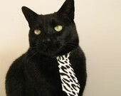 _快船迎战劲敌，拼尽全力献出精彩比赛_，快船的比赛