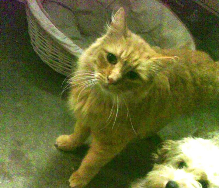 _季后赛门票争夺激烈!十支队伍誓要冲刺_,季后赛系列赛