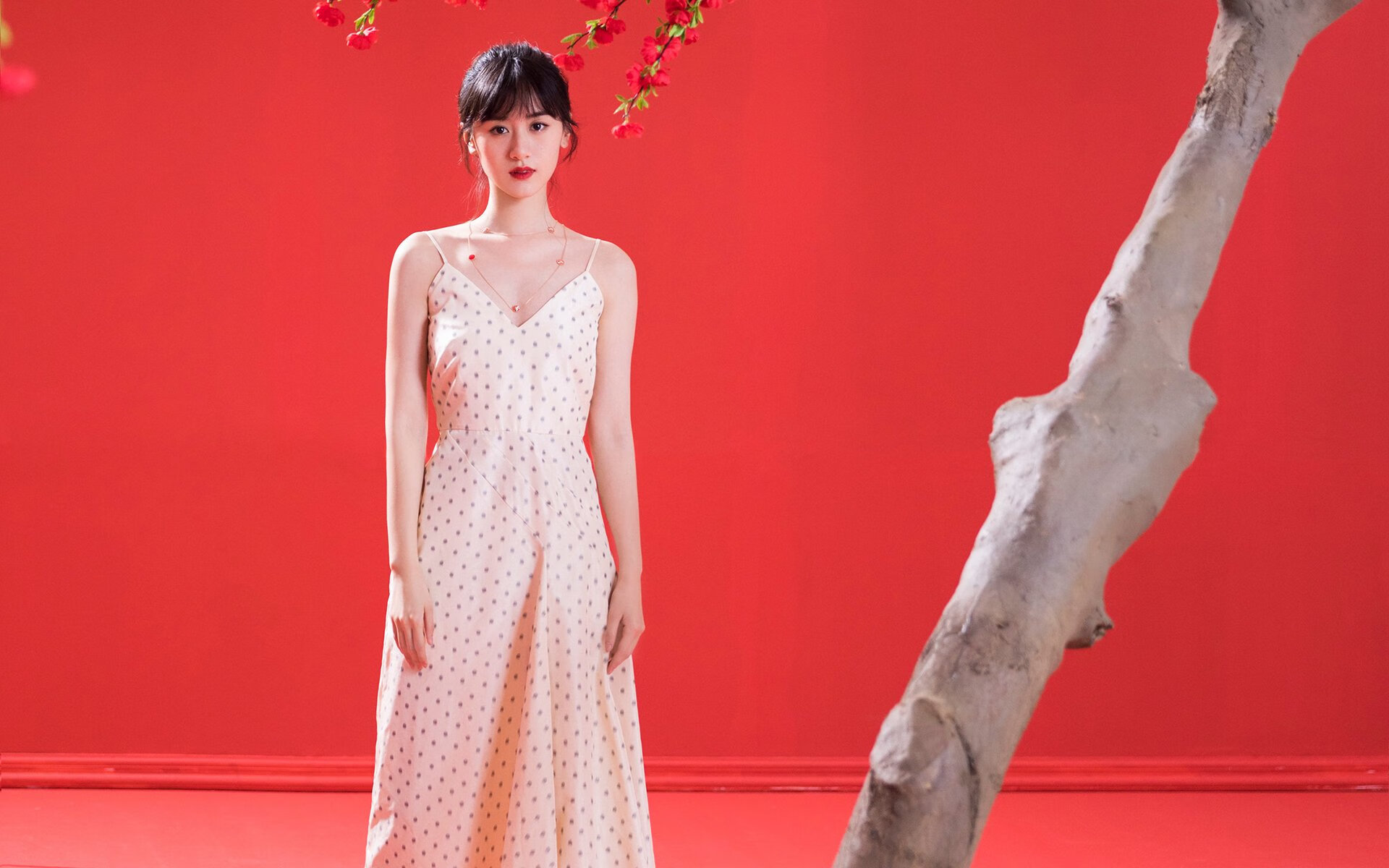 世俱杯直播在线观看免费-“中国足球俱乐部合作联盟正式成立，资源共享再升华”，中国足球 俱乐部