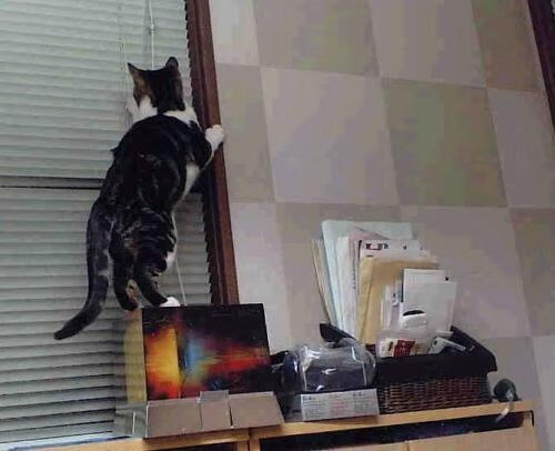 世俱杯入口-“未来之星”青少年篮球素质提升培训在广州千万级投资，推动青训行业发展