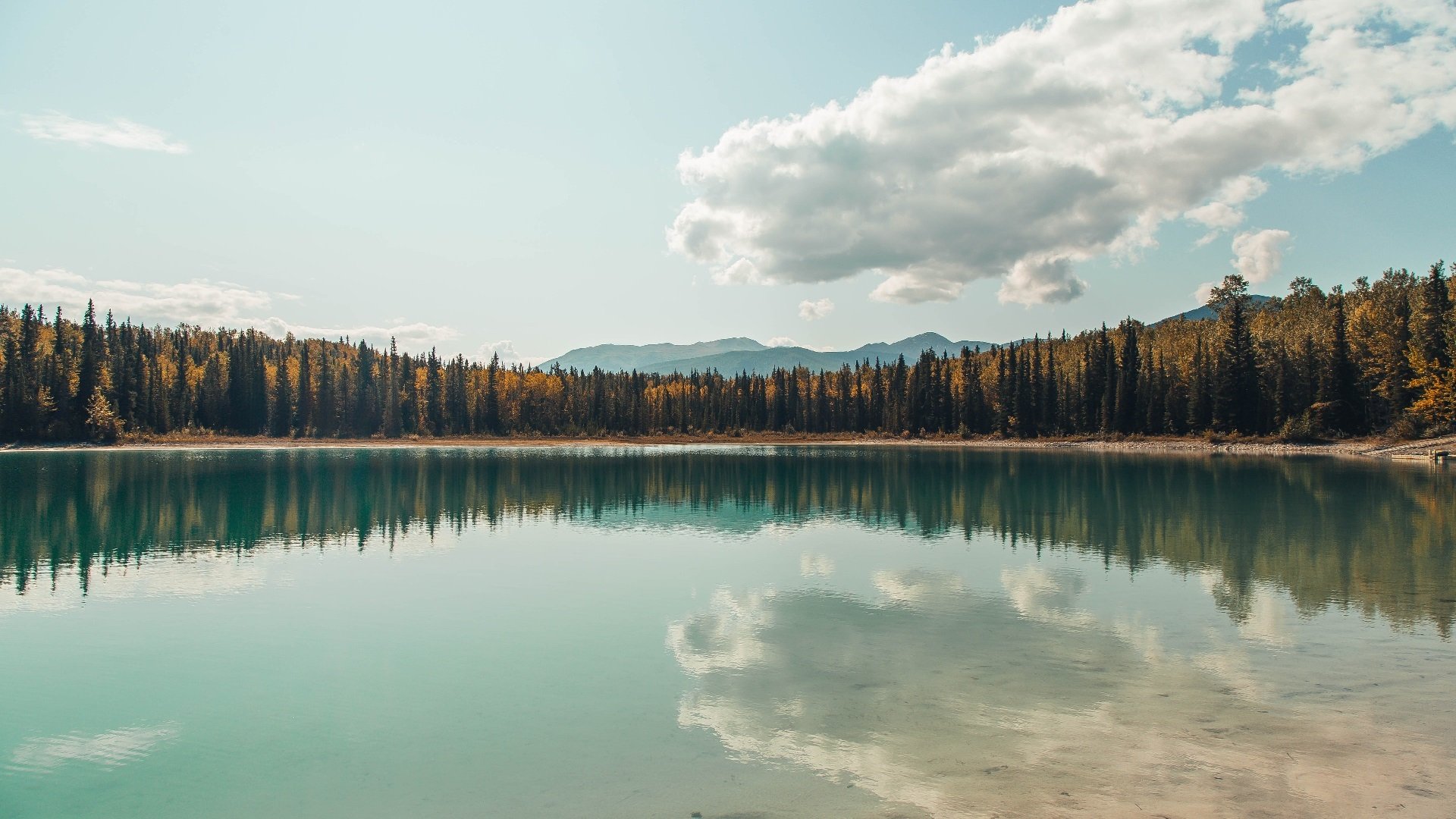 【智能裁判】未来棒球比赛的“守门员”？，棒球守门员衣服