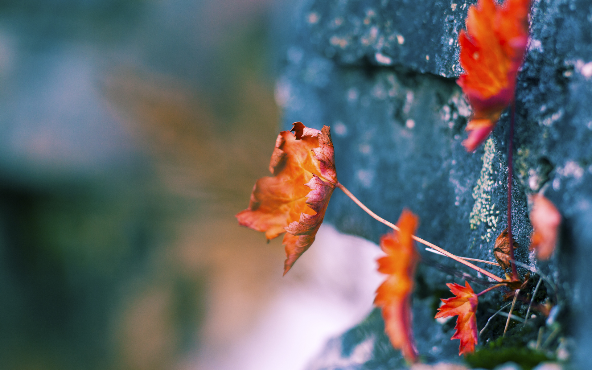 足球世界俱乐部杯直播-借助数字化手段提升足球比赛观赛体验，数字智能足球