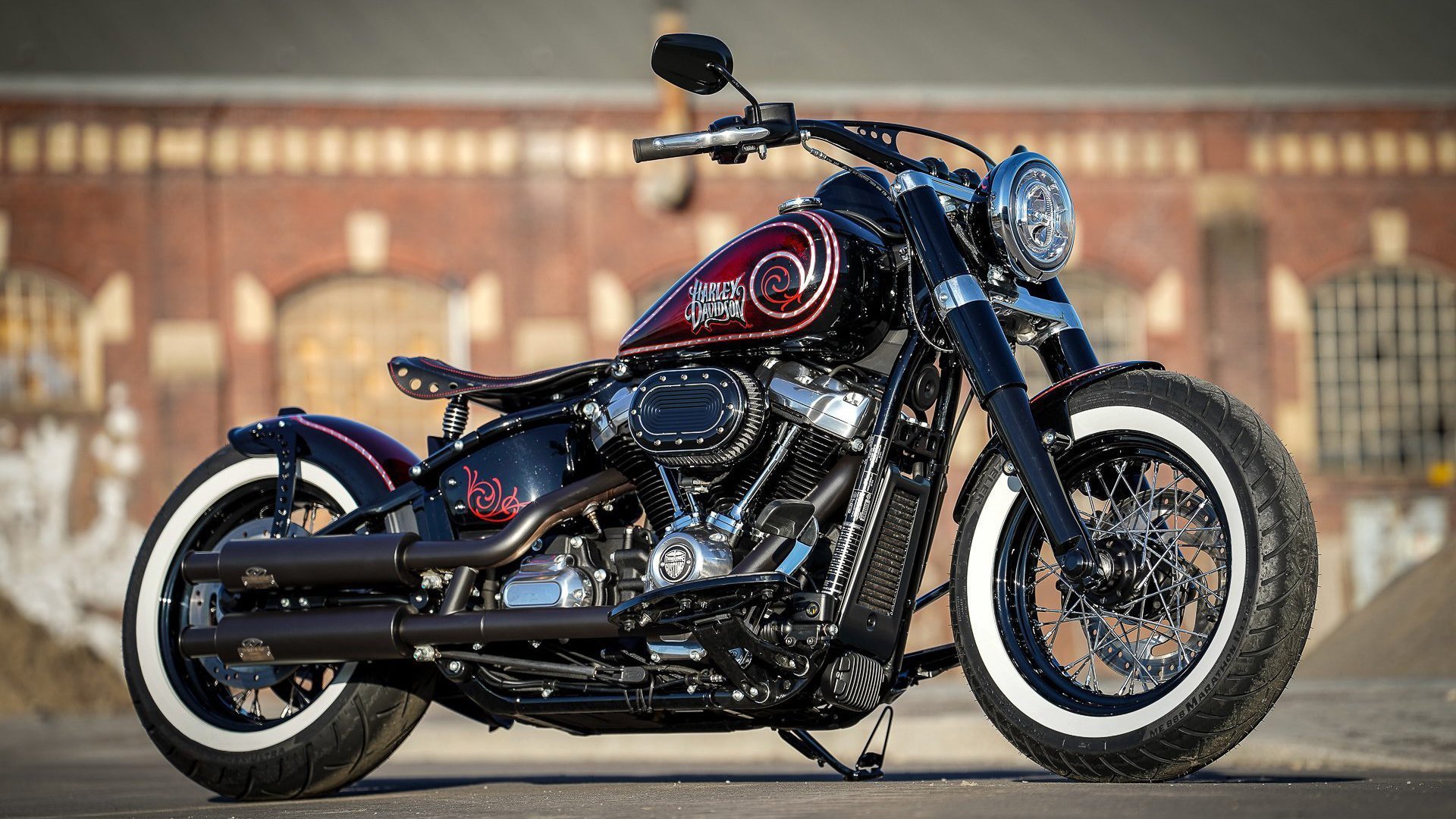 克罗地亚马术协会开展马匹福利宣传活动,提升公众意识。