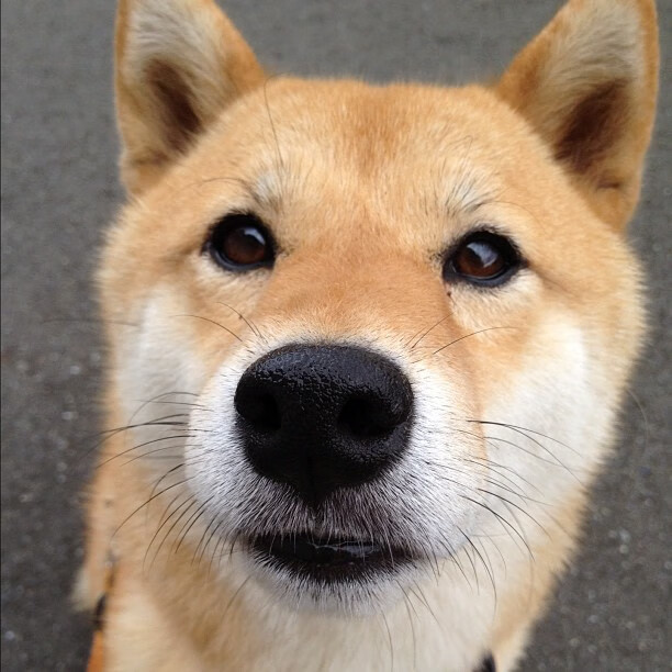 足球世界俱乐部杯直播-国际泳坛新秀崭露头角，国际泳坛十大