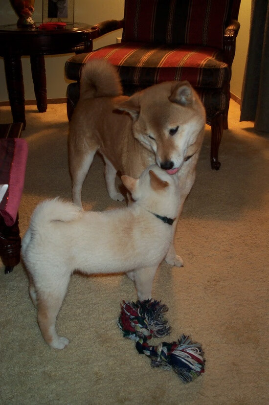 世俱杯网址-年度十佳运动员评选公布，台球界新象崛起，最有名的台球运动员