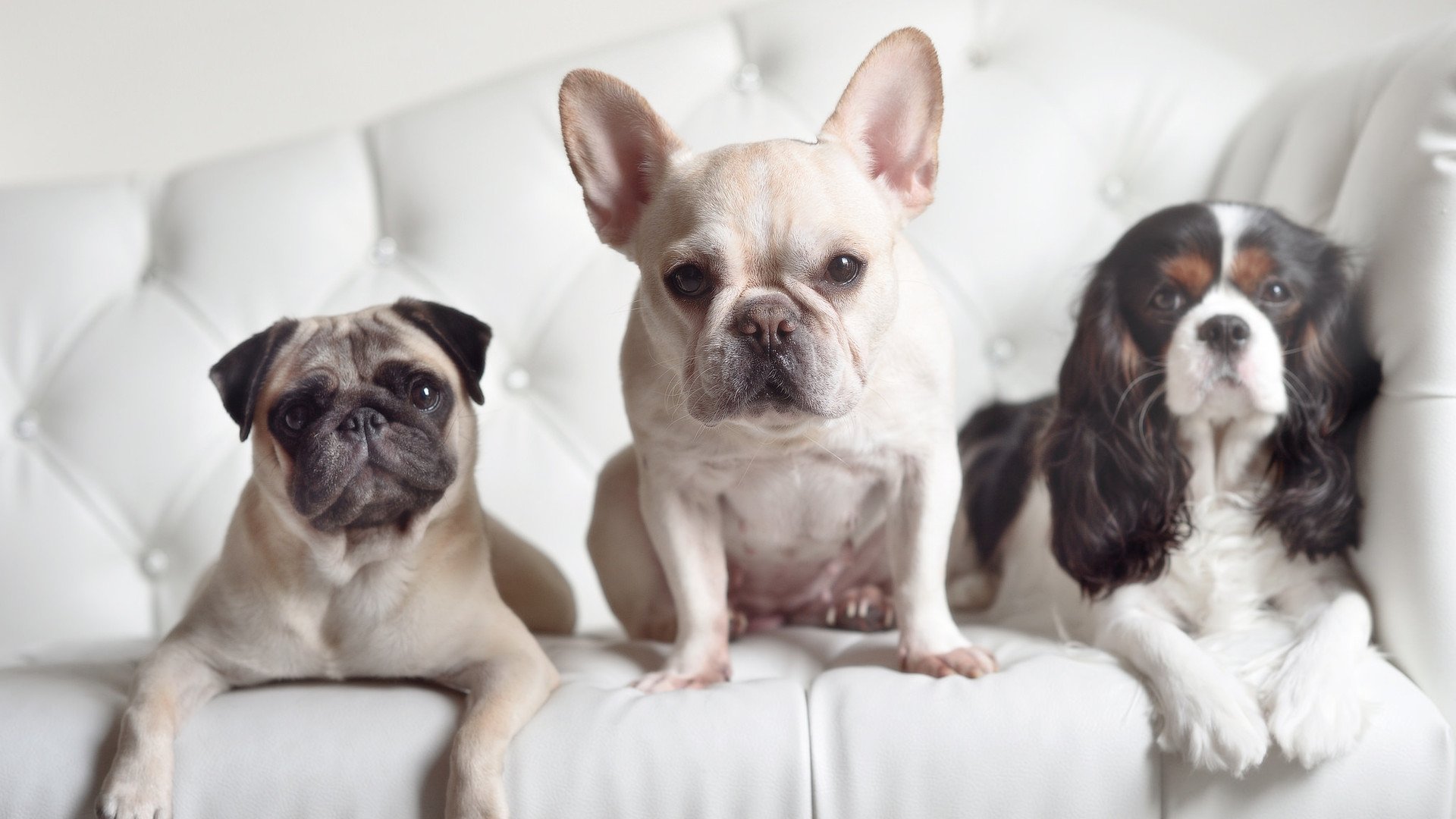 情怀回忆:NBA历史上的经典人物和瞬间,历史十大nba球星