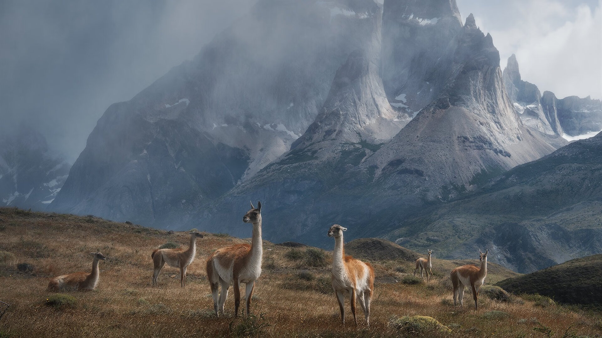 2025世俱杯赛程表-比赛现场：运动员与观众的互动盛宴，运动员比赛场景