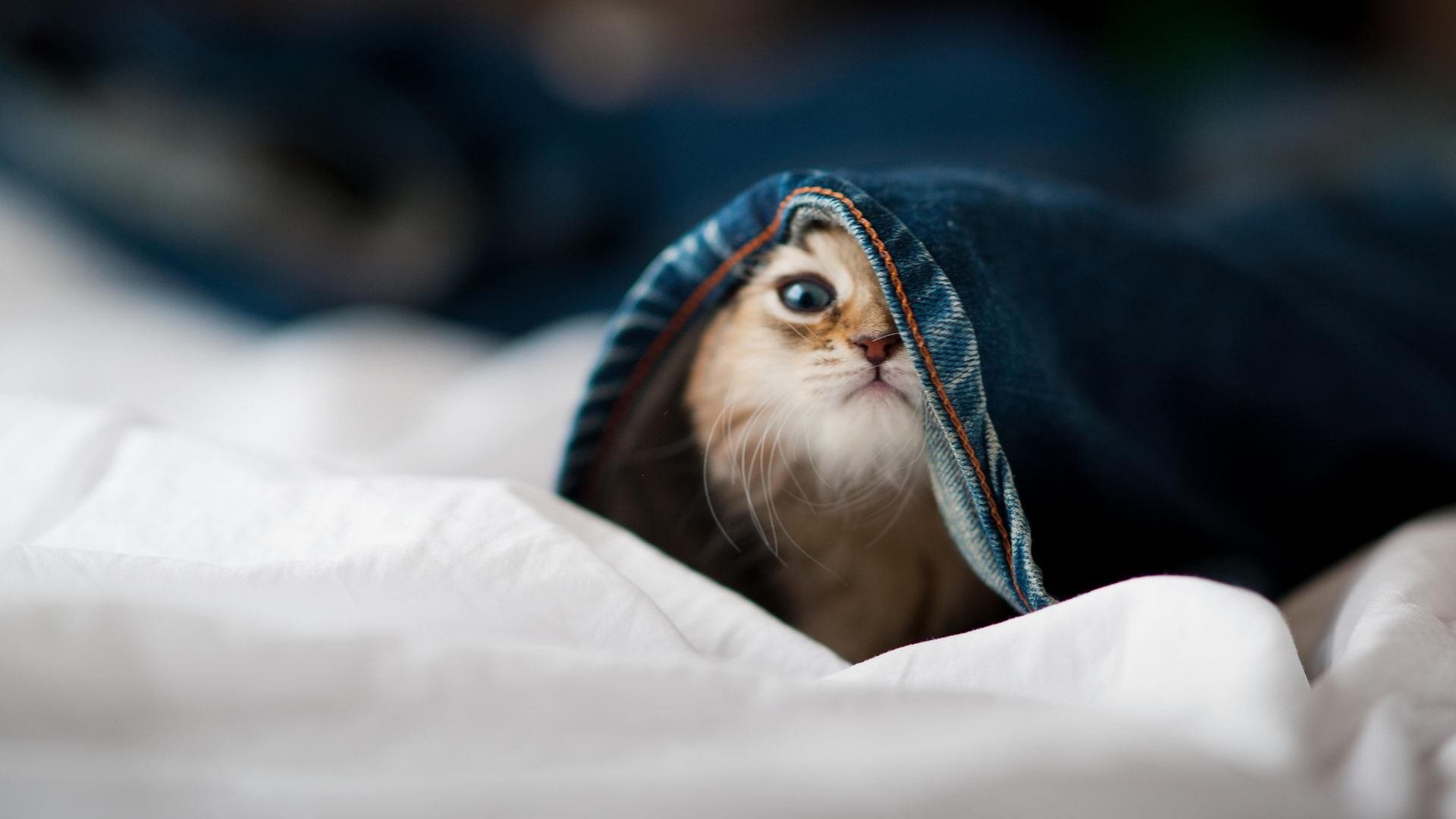 瑞士队冬奥足球首战告捷,2_0完胜韩国,瑞士冬运会