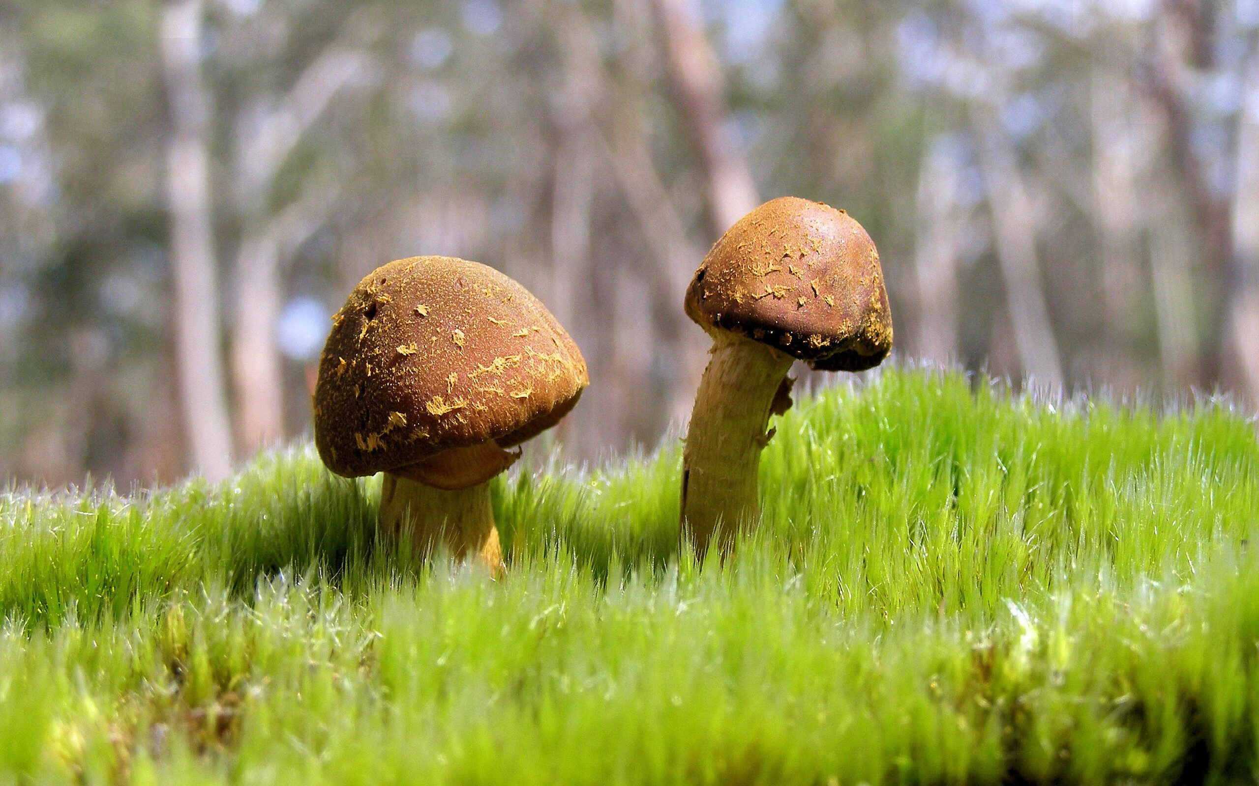 篮球运动员康复训练技术持续创新，篮球运动康复与理疗