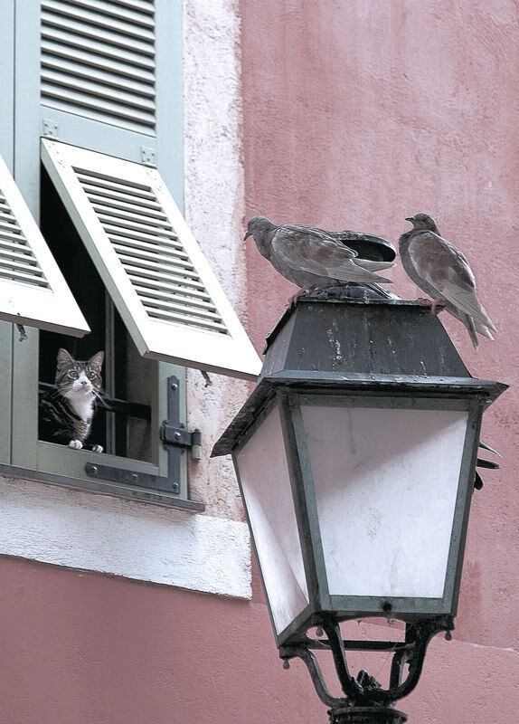 行业“智能+绿色”双驱动新路径日益清晰,行业基础持续打牢,绿色智能产业