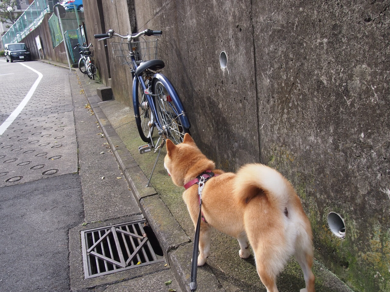 费城76人“新英雄”恩比德,带队再创佳绩!,费城76人队最新阵容