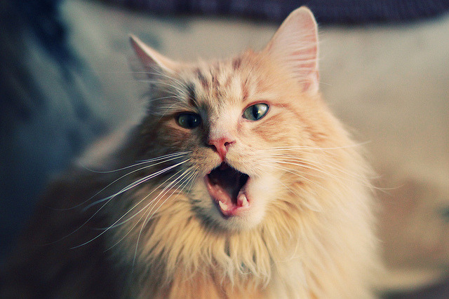 青少年“百城争霸”校园篮球联赛在南京火热进行，青少年篮球大赛