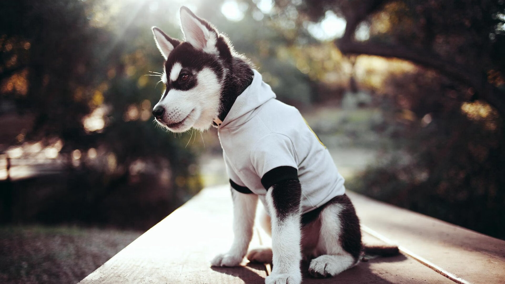 青少年篮球“激情跃动”沙滩赛在海南成功举办,2021年海南省青少年篮球比赛