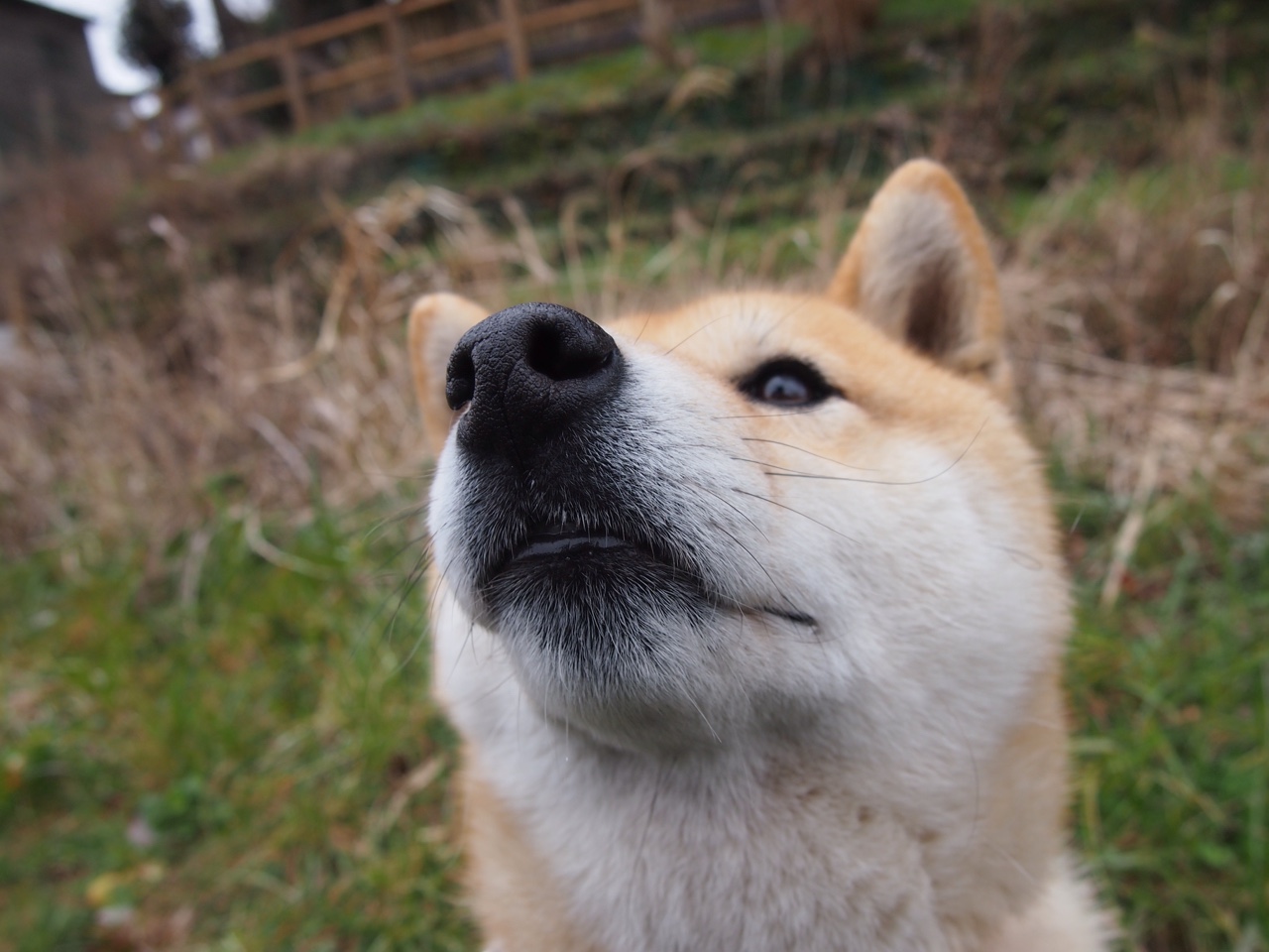 CBA裁判队伍迎来新面孔,备战新赛季,cba裁判合集