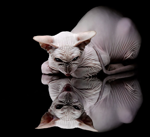 中超俱乐部市场营销创新,吸引更多赞助商,中超俱乐部的发展