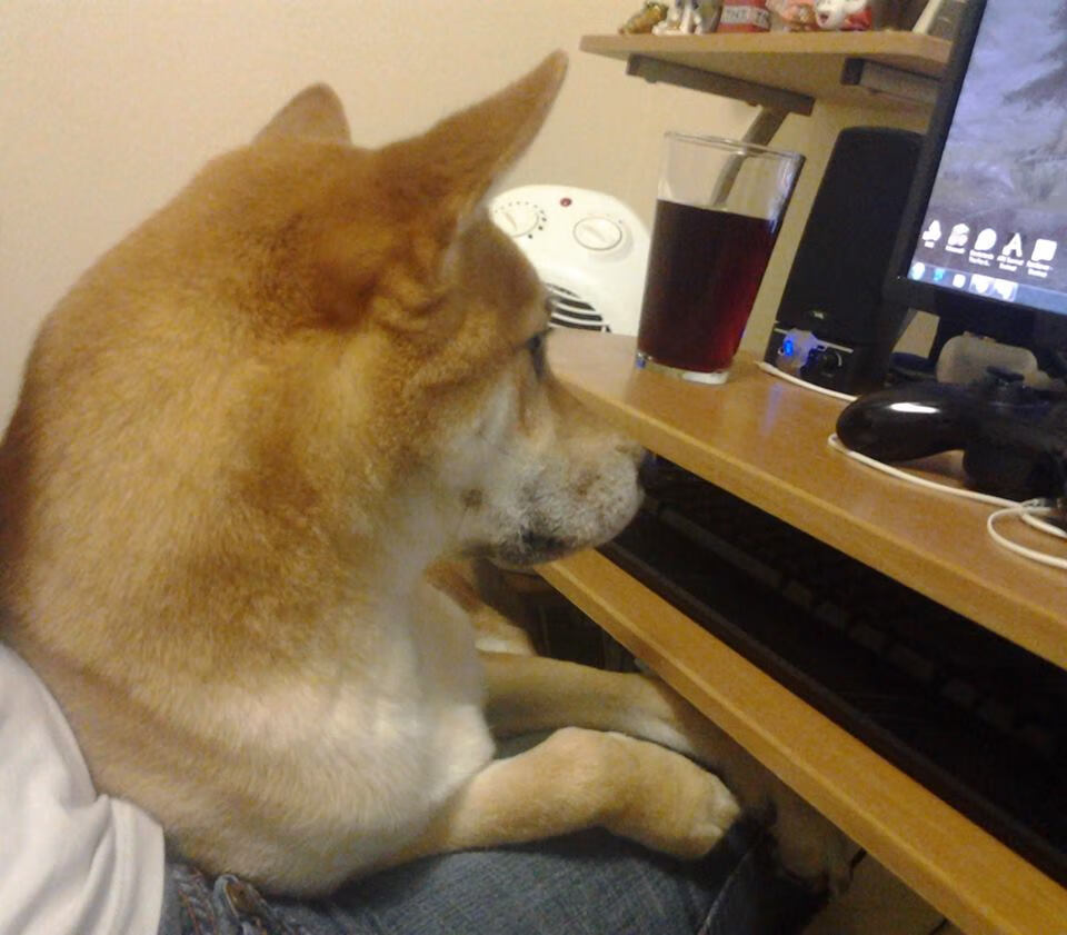 勇士球员个人突破能力提升,勇士角色球员