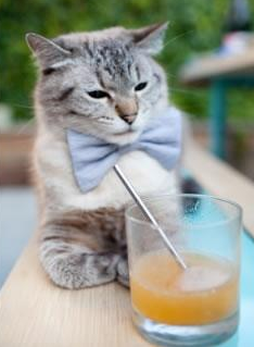 尤文图斯防线坚不可摧,奏响胜利进行曲,尤文图斯战术体系