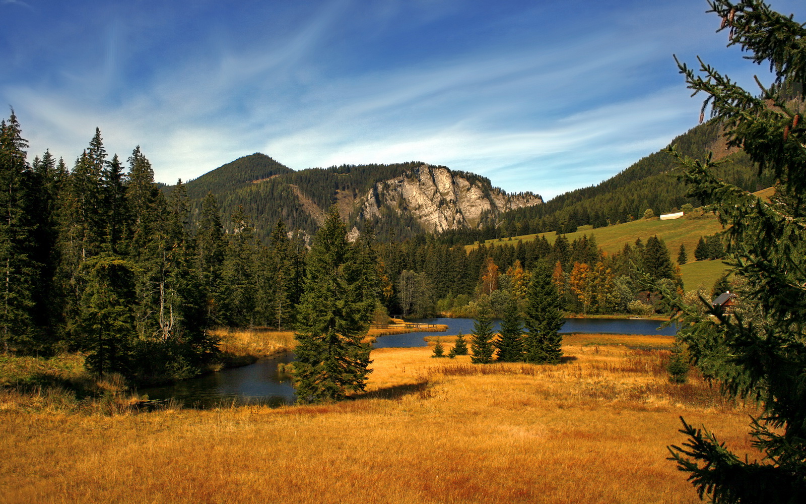 日本队门将扑出关键点球,力保胜利,日本国家队主力门将