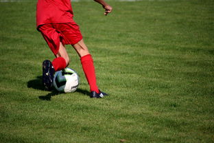 世界俱乐部杯-意甲裁判语义分析系统在比赛判罚中的应用研究，意甲第三轮裁判