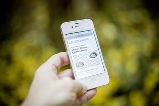 足球世界俱乐部杯直播-智能化体育测评系统开发与适用性分析，体育考试智能化测试仪器